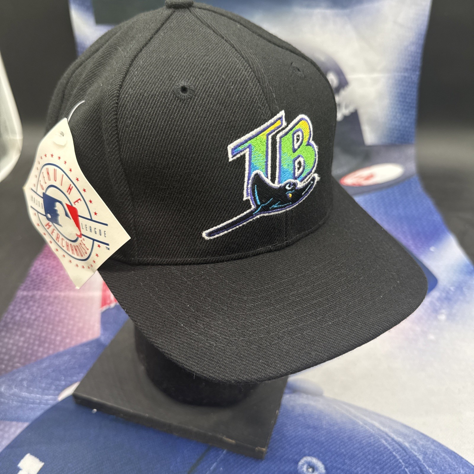 Vintage MLB Tampa Bay Devil Rays Baseball Twins Enterprise Snapback Hat Cap