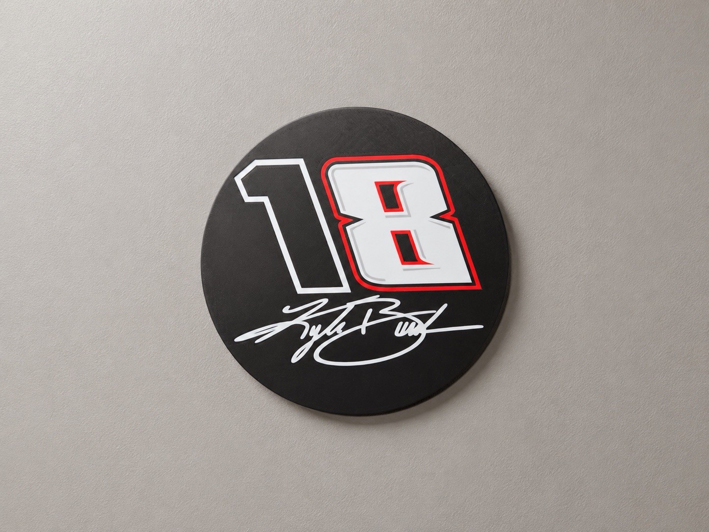 Kyle Busch Lightbox 18 8