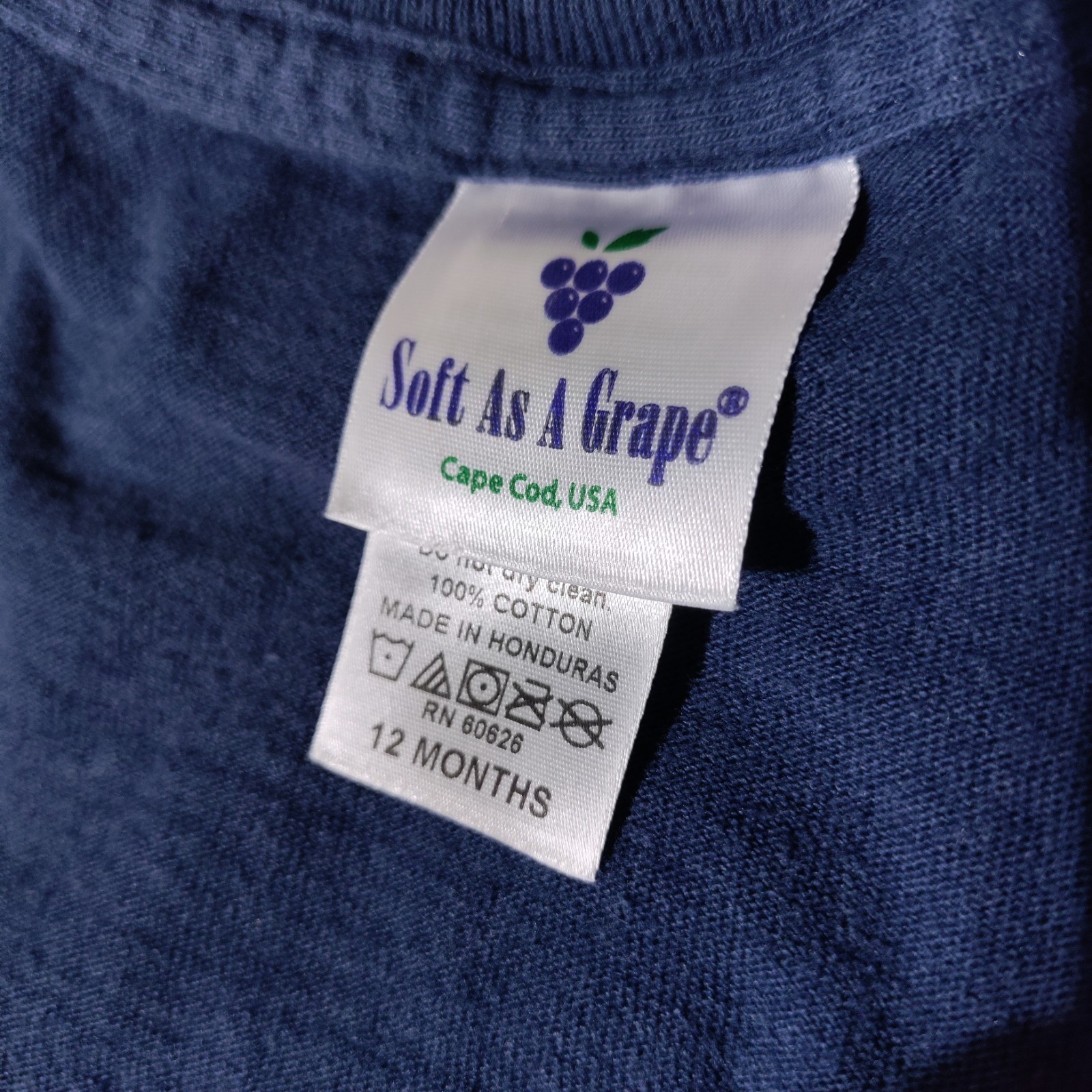 MN Twins Soft as a Grape 12 Months T Shirt A True Fan Begins in Diapers