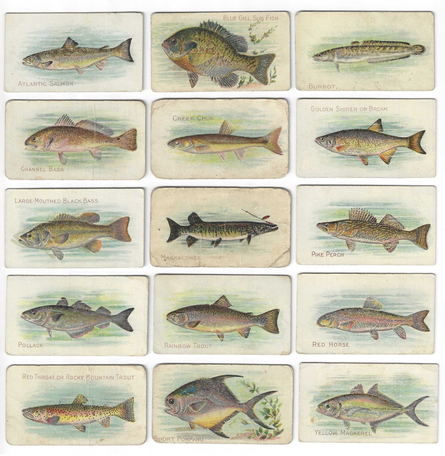 c1910’s T58 Sovereign Tobacco Card – Fish Series – 15 Different – Buy 1 or All!