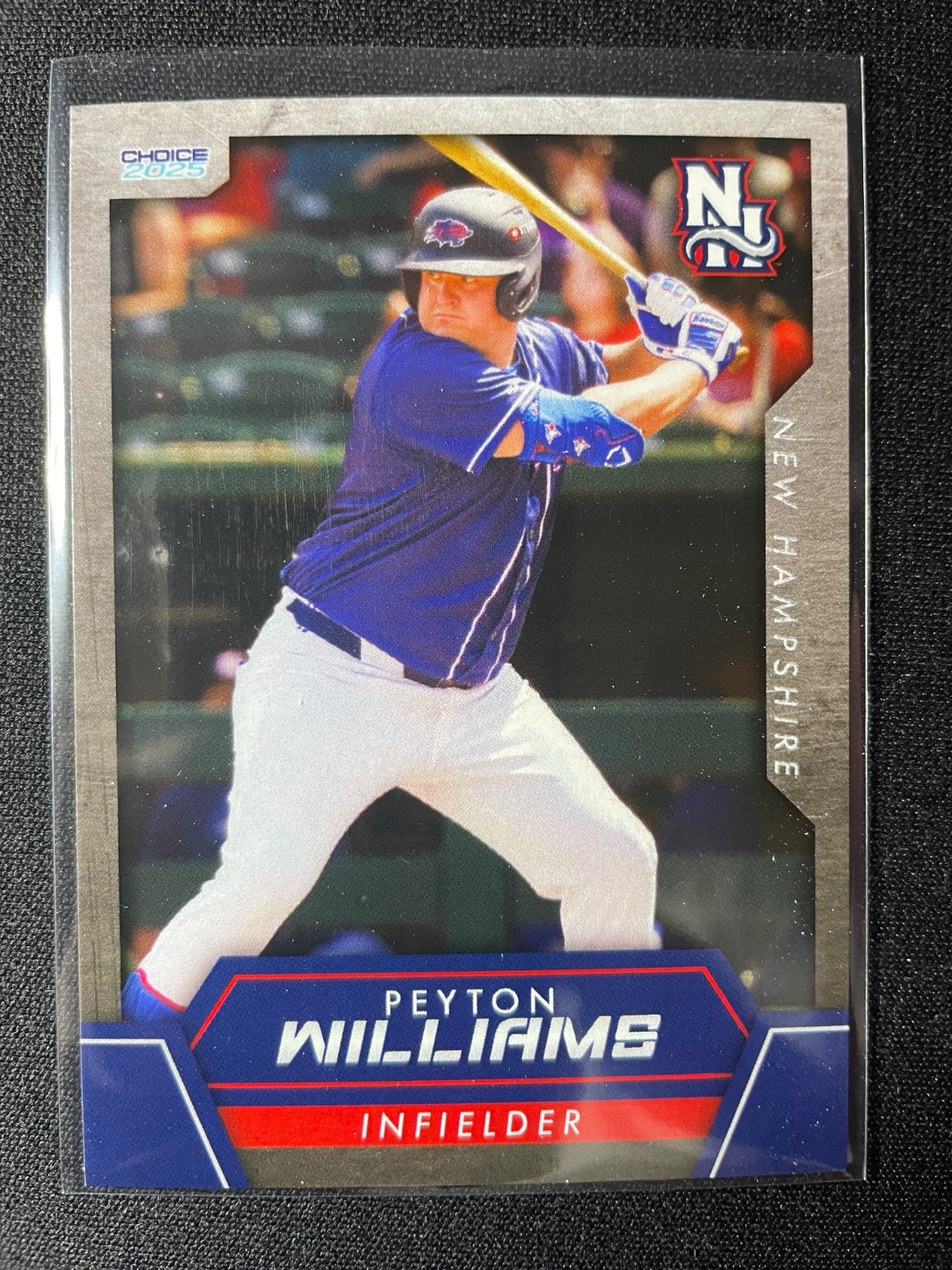 2025 New Hampshire Fisher Cats Team Set (Blue Jays) You Pick Free Shipping!!!