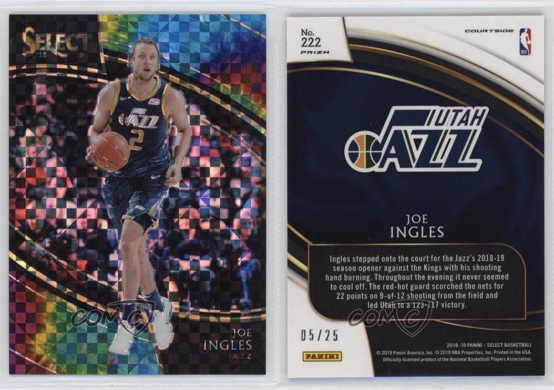 2018-19 Panini Select Courtside Tie-Dye Prizm /25 Joe Ingles #222 3d3