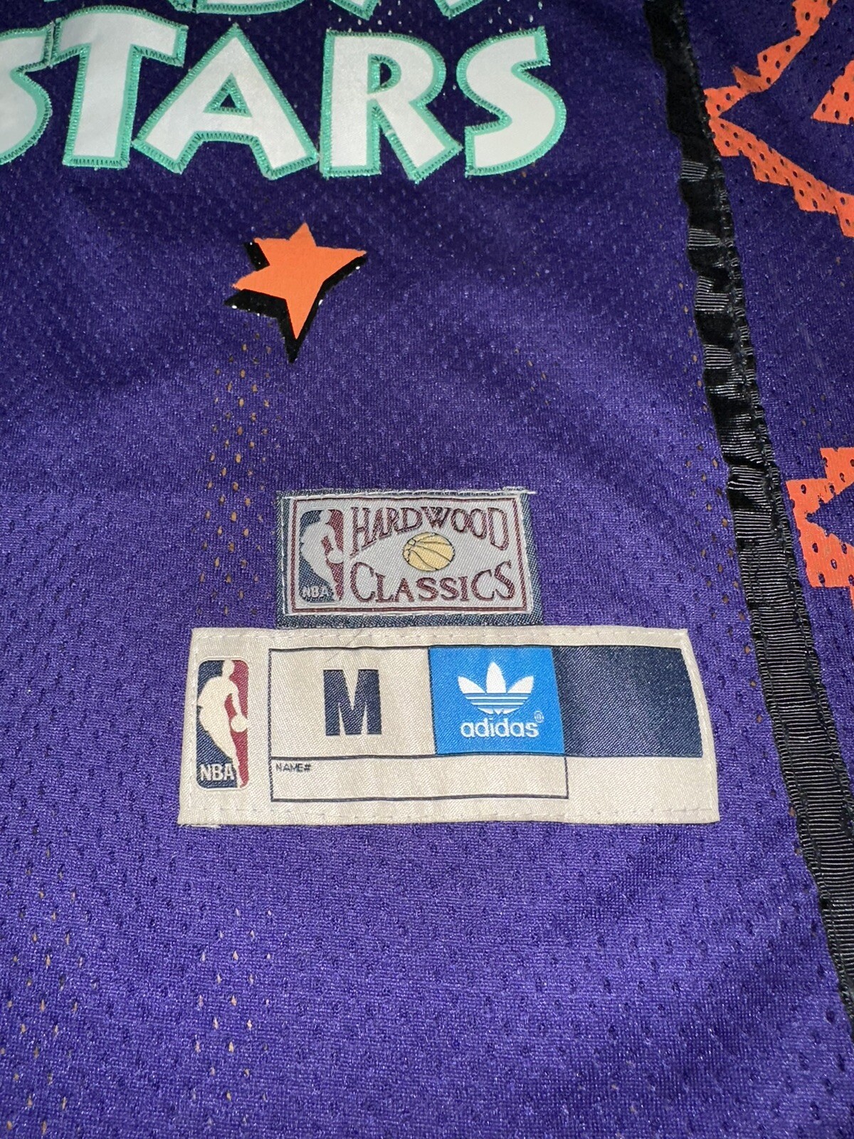 Mens Mitchell & Ness NBA Swingman Jersey All Star 1995 Scottie Pippen Medium