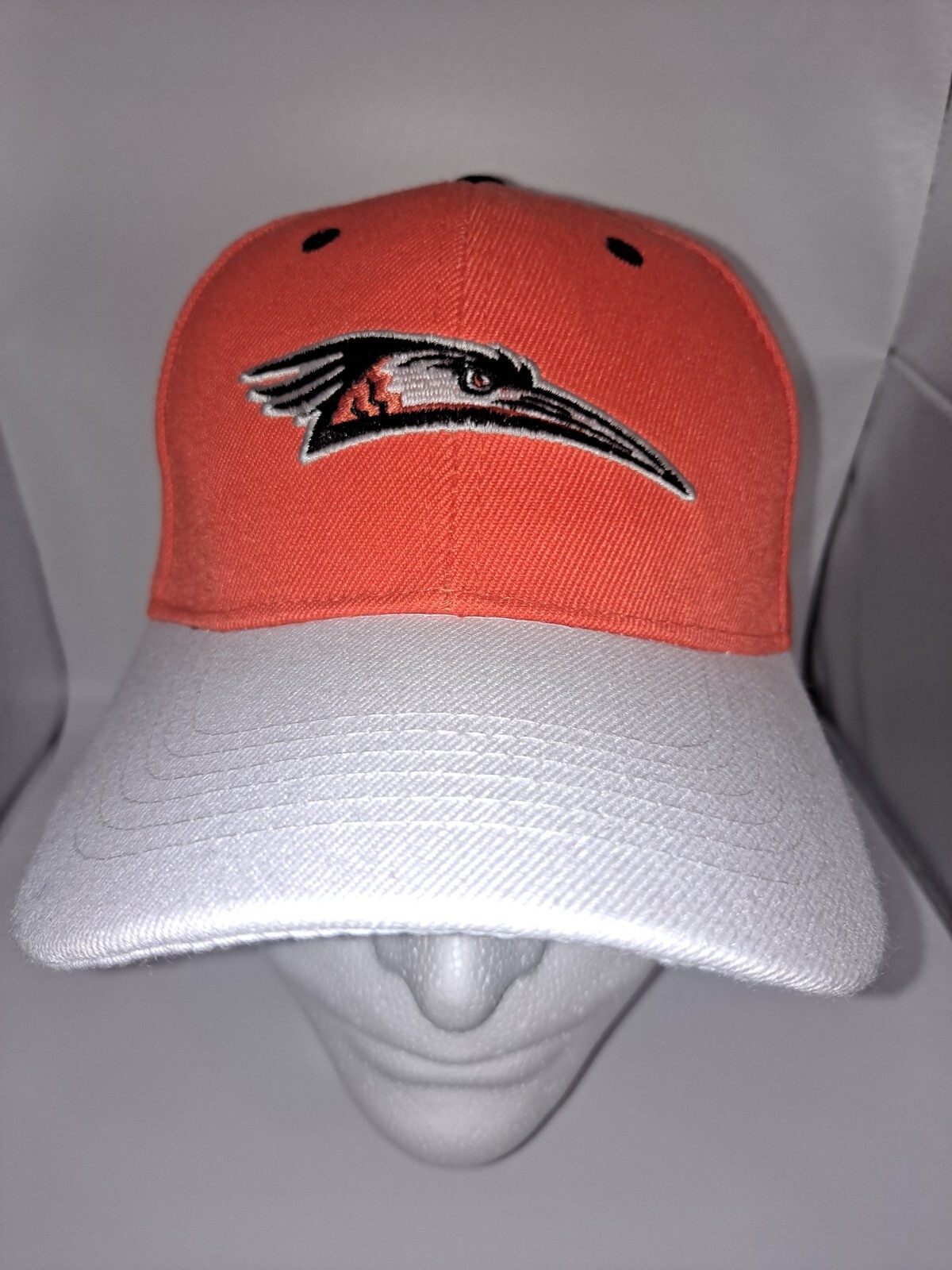 NEW DELMARVA SHOREBIRDS PROMOTIONAL ADVENTURES MD BASEBALL HAT ADJUSTABLE NEW