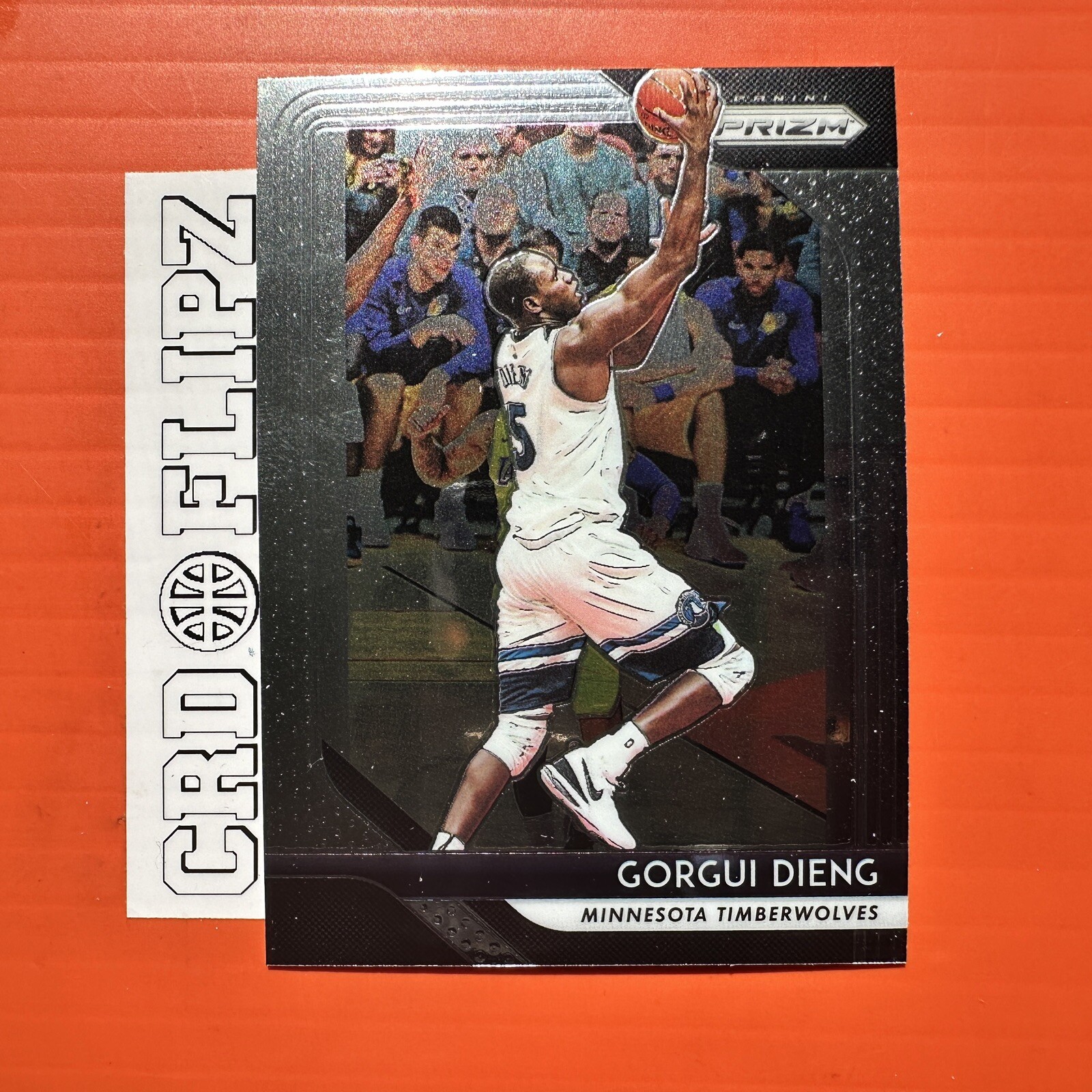 2018-19 Panini Prizm Base #117 Gorgui Dieng