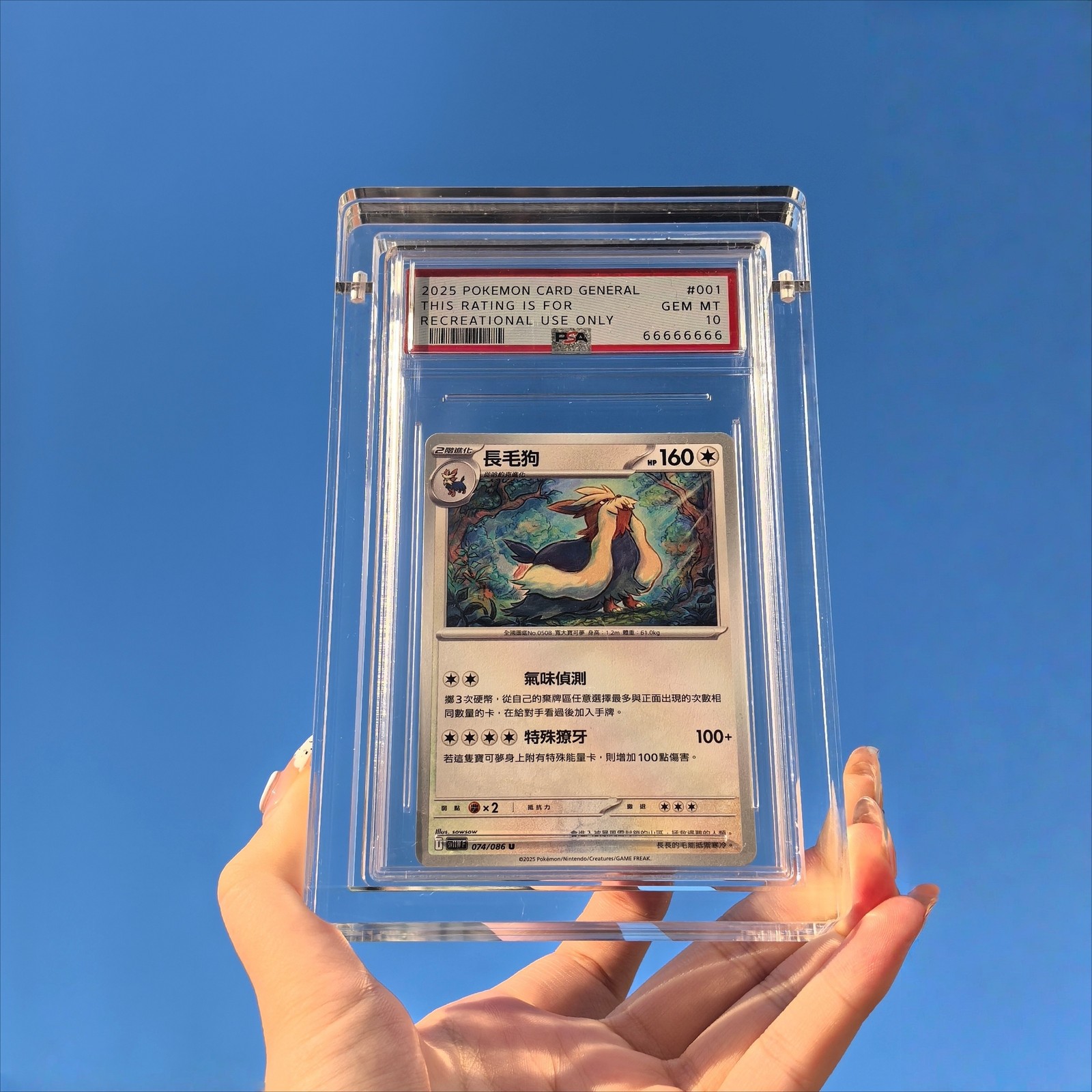 Premium Magnetic Acrylic Display Protector Case for CGC PSA Graded Card Slab US