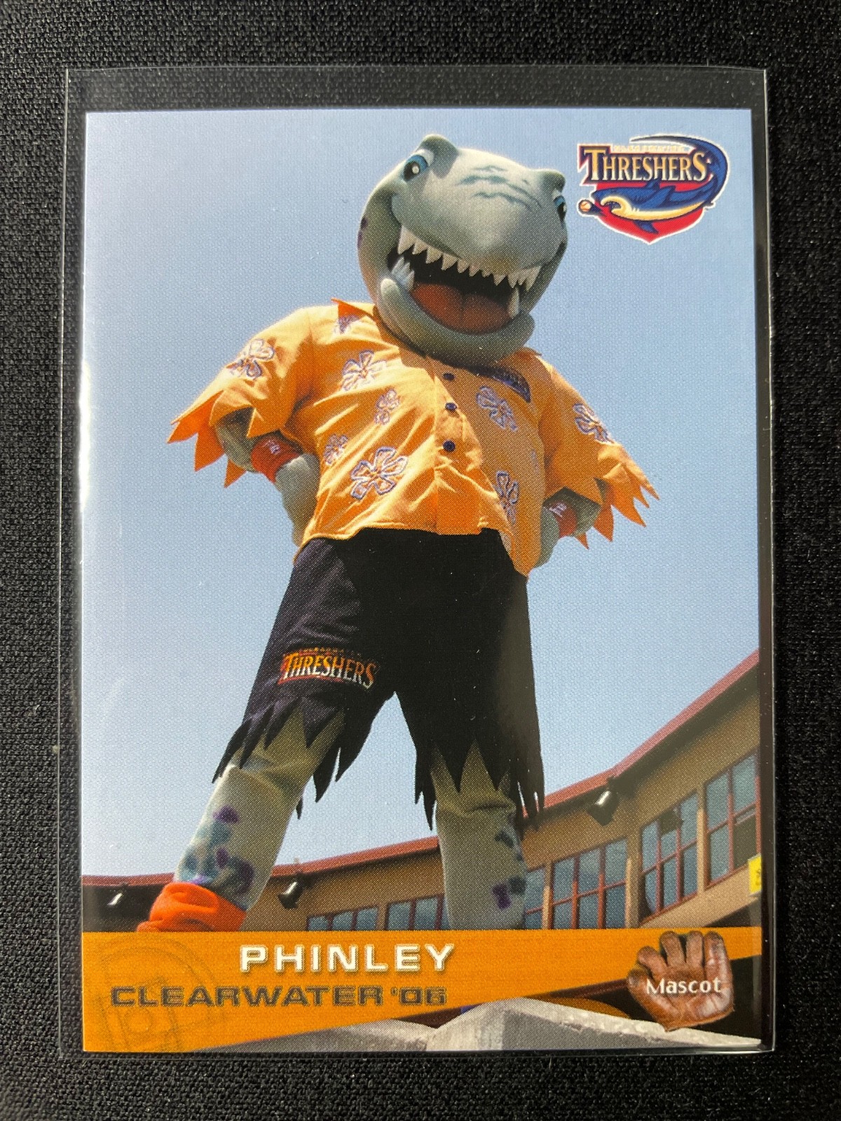 2006 Grandstand Clearwater Threshers Team Set (Phillies) You Pick Free Shipping!