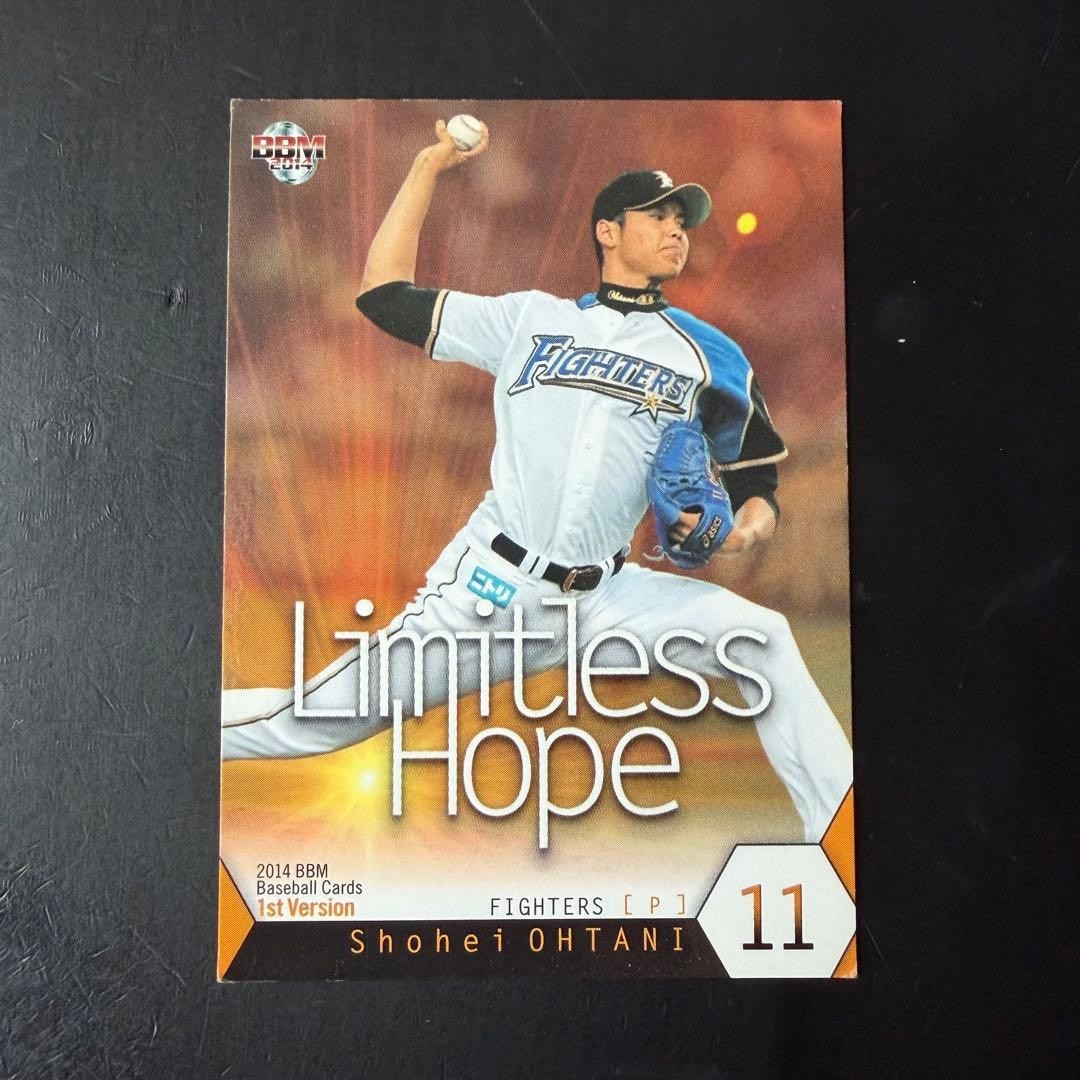 Shohei 2014 Tour Limitless Hope 354