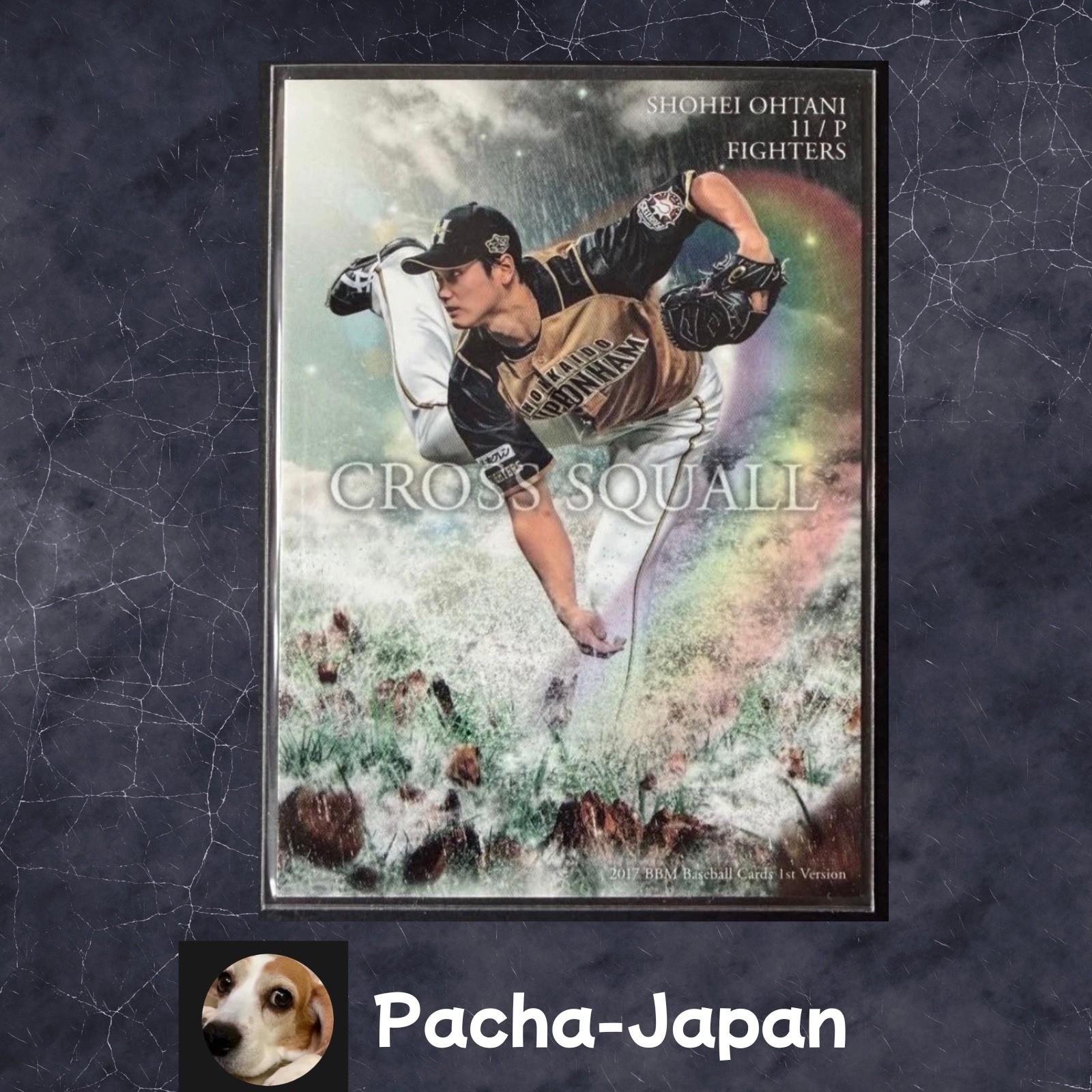 Shohei Ohtani BBM 2017 Cross Squall Cs01 Japan Hokkaido Nippon Ham MLB Card
