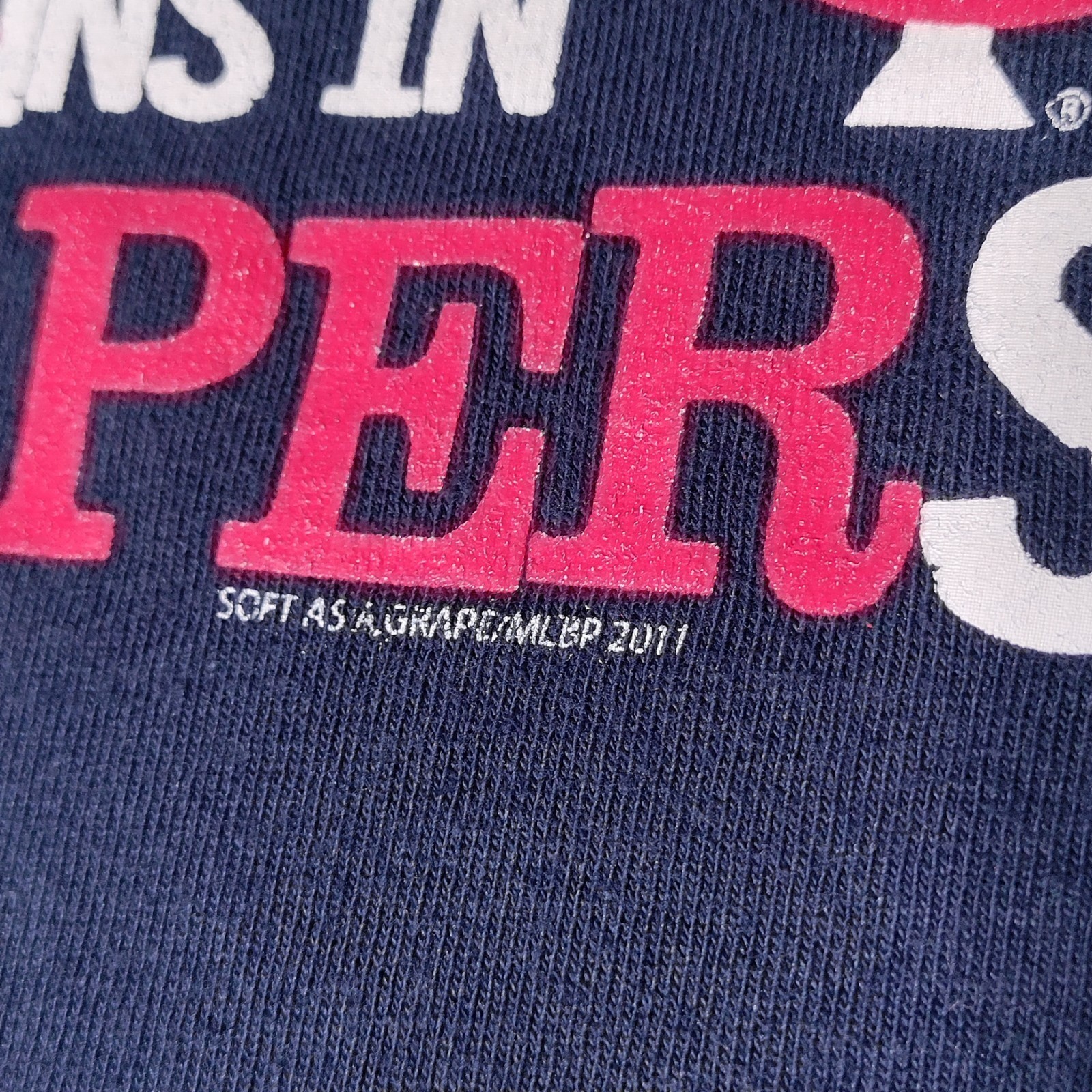 MN Twins Soft as a Grape 12 Months T Shirt A True Fan Begins in Diapers