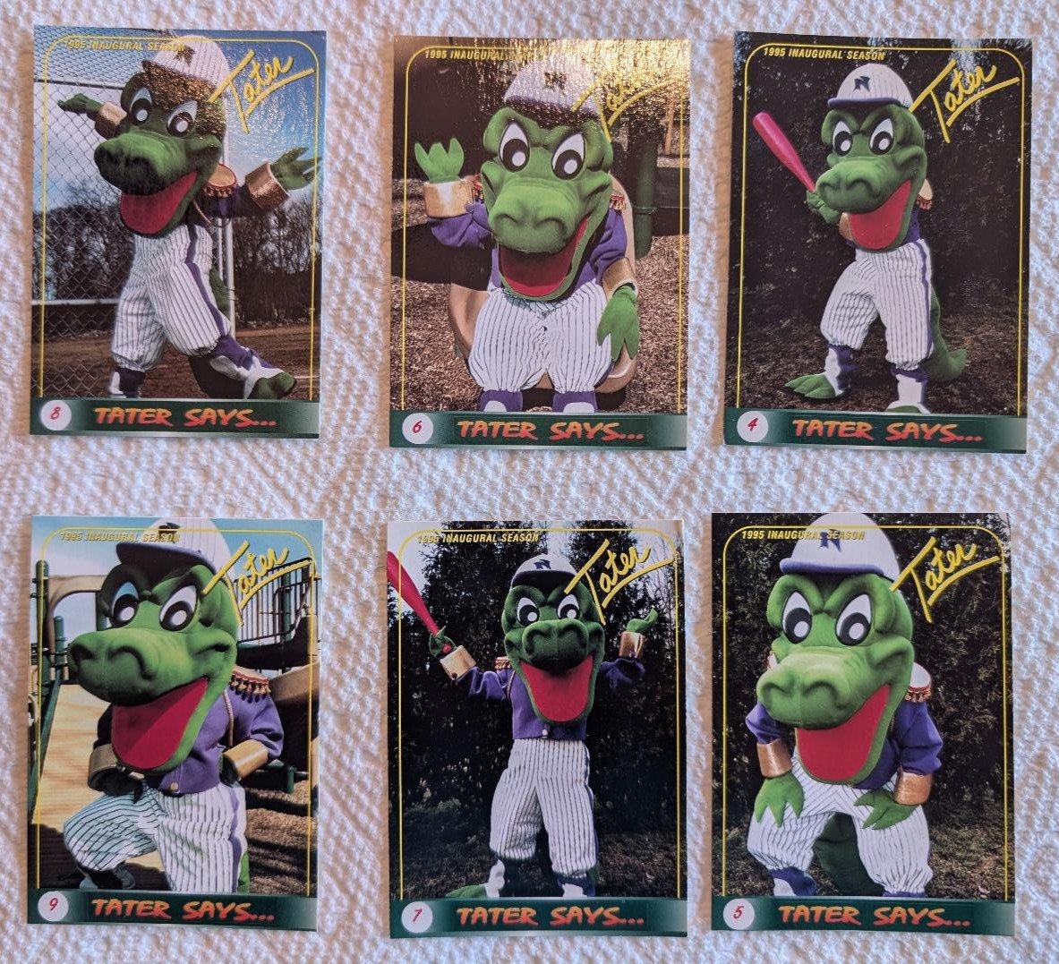 Norwich Navigators 1995 Inaugural Season Baseball Cards Lot Of 6 “Tater Says”