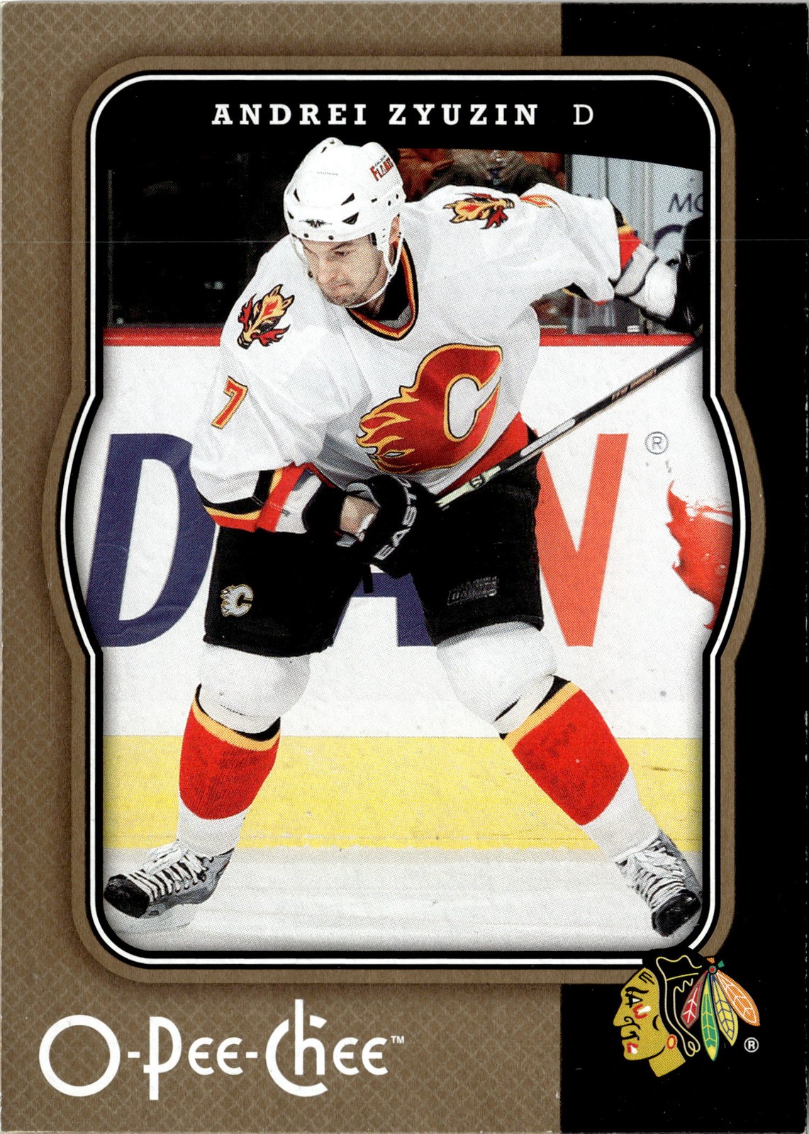 2007-08 O-Pee-Chee #102 Andrei Zyuzin